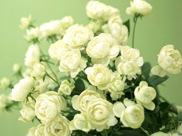 �������၆�F�S�ҿ���ϵ�Ԓ��13838587319 �O����